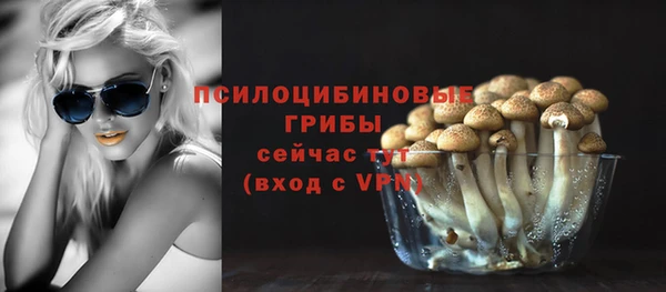 гашишное масло Богородицк