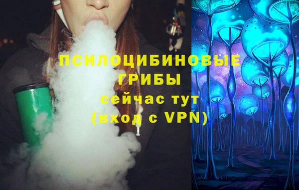 гашишное масло Богородицк