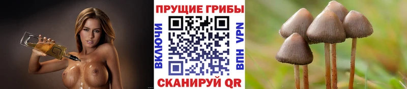 Псилоцибиновые грибы мухоморы  Пойковский 