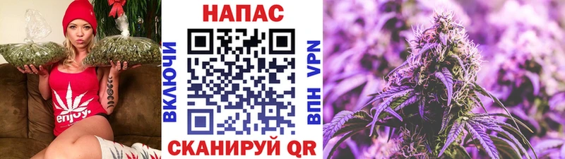 маркетплейс клад  купить закладку  Пойковский  Канабис конопля 